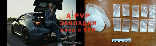 твердый Богданович