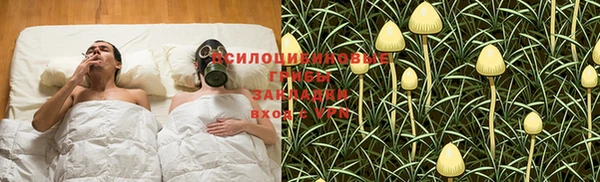 мдпв Богородск