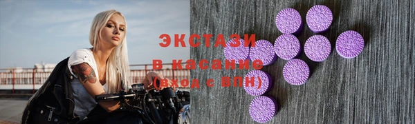 мдпв Богородск