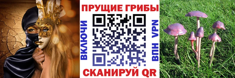 Псилоцибиновые грибы мицелий  hydra ссылки  Вельск 